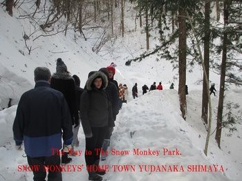旅館 島屋 山ノ内町